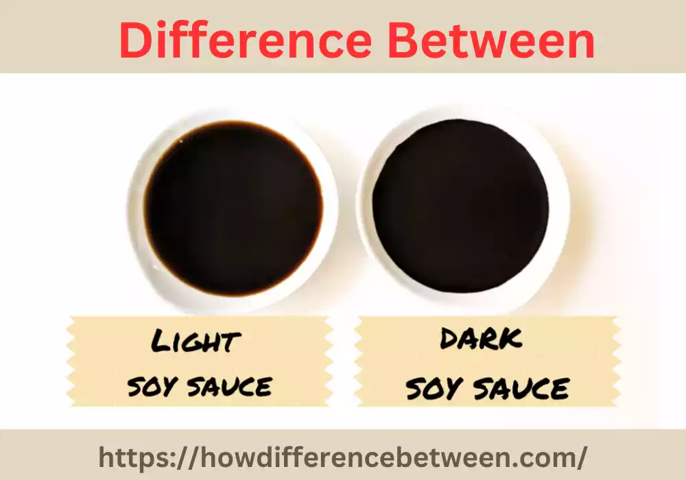 Dark and Light Soy Sauce