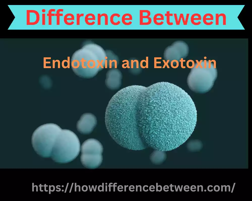 Endotoxin and Exotoxin