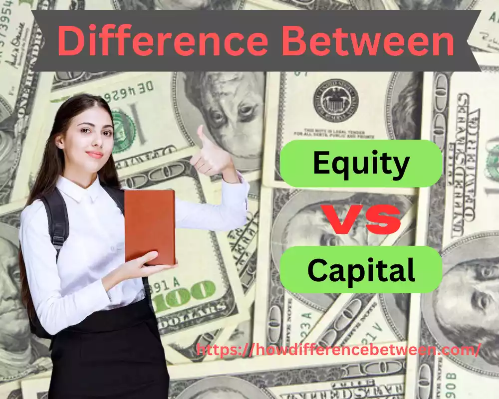 Equity and Capital