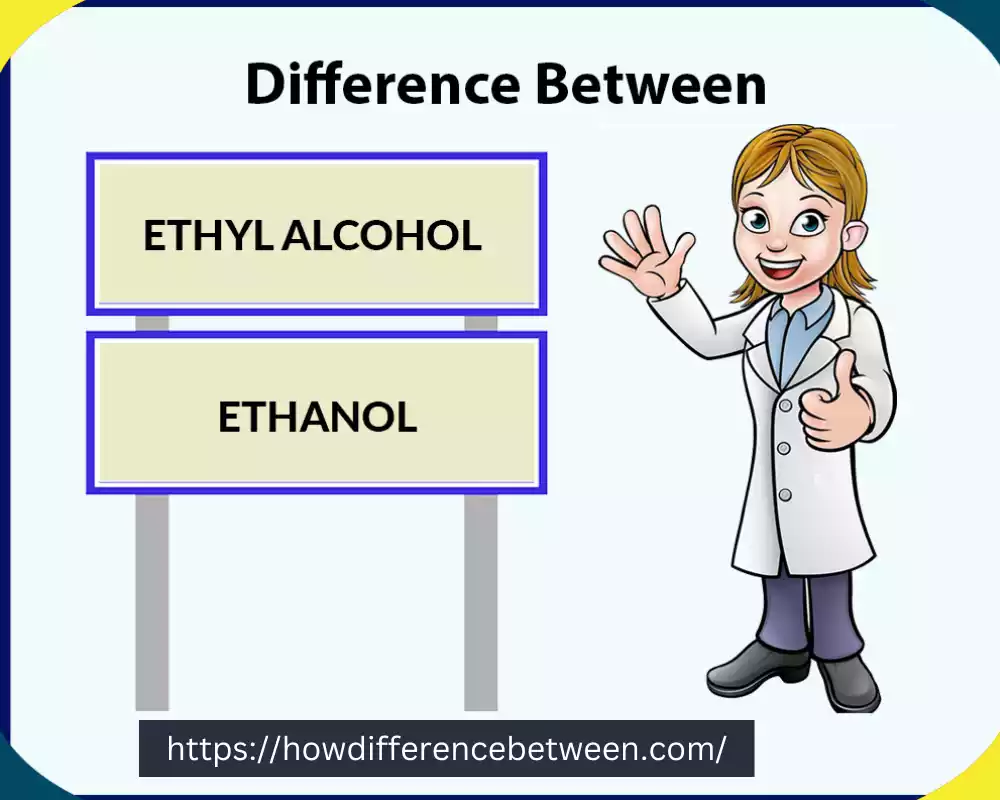 Ethyl Alcohol and Ethanol