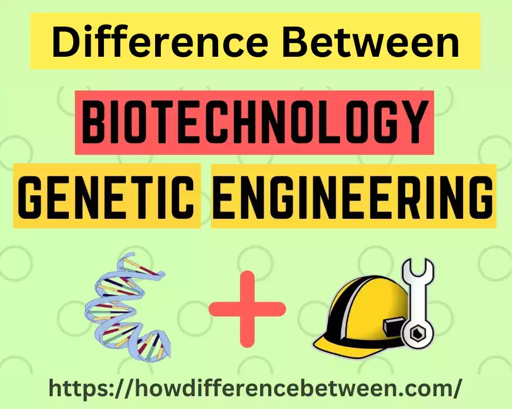 Genetic Engineering and Biotechnology