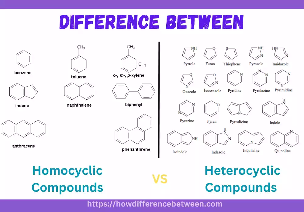 Homocyclic and Heterocyclic Compounds