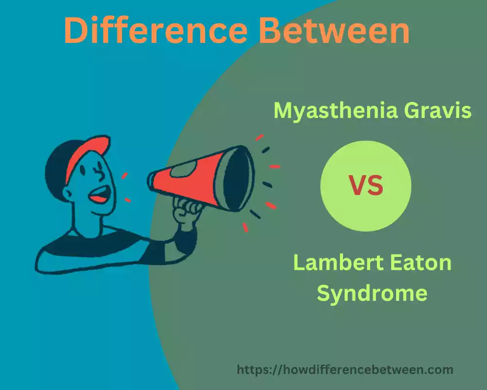 Myasthenia Gravis and Lambert Eaton Syndrome