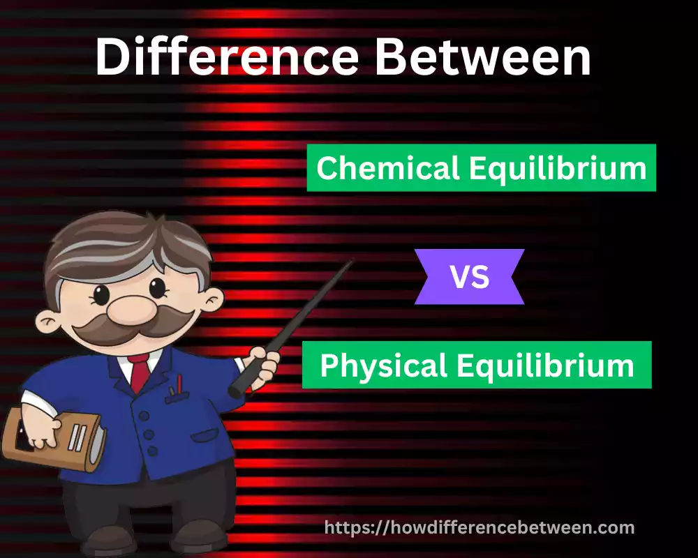 Physical and Chemical Equilibrium