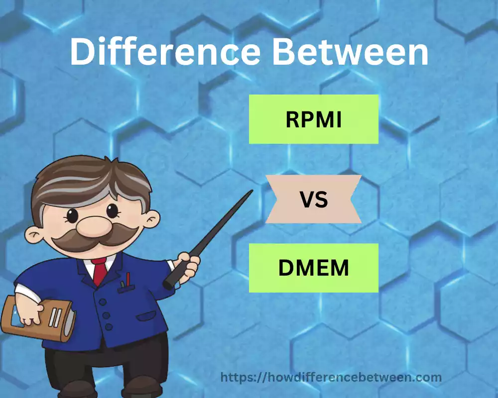 RPMI and DMEM