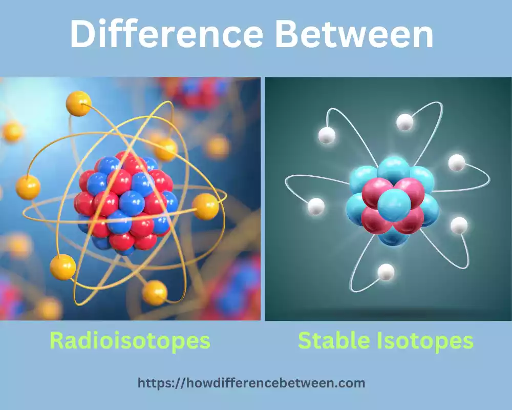 Stable Isotopes and Radioisotopes