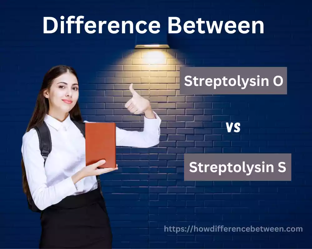 Streptolysin O and Streptolysin S