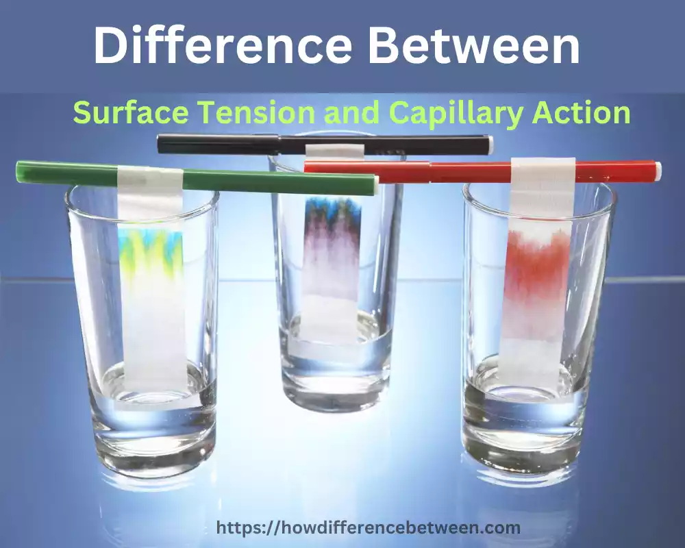 Surface Tension and Capillary Action