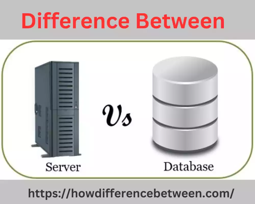 Web Server and Database Server
