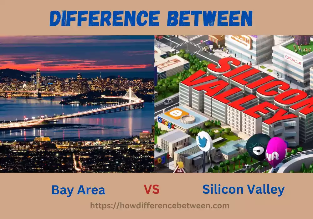 Bay Area and Silicon Valley