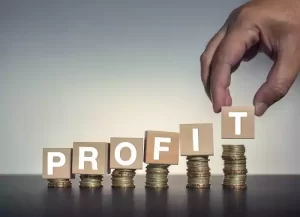 Profit