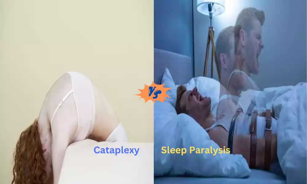 Cataplexy and Sleep Paralysis