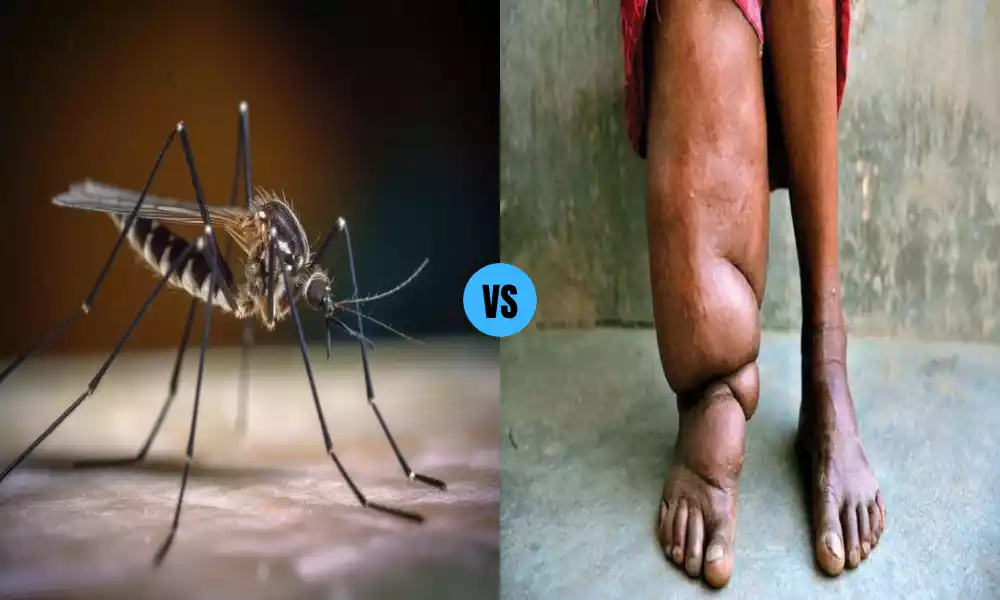 Malaria and Filariasis