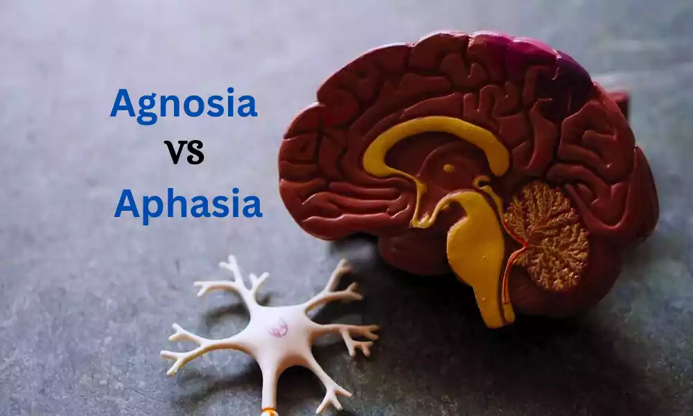 Agnosia and Aphasia