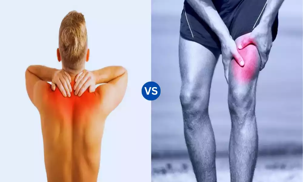 Pulled and Torn Quad Muscle