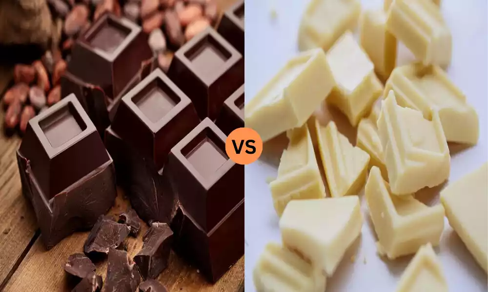 Dark Chocolate vs White Chocolate