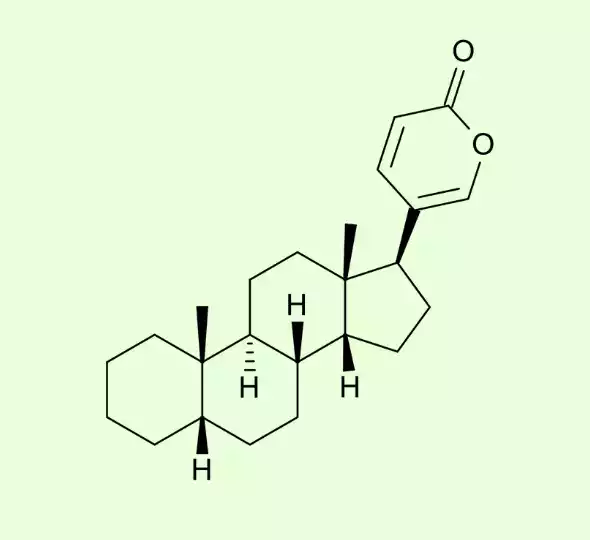 Bufadienolides