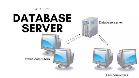 Database Server