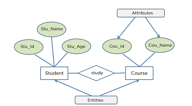 ER Diagram