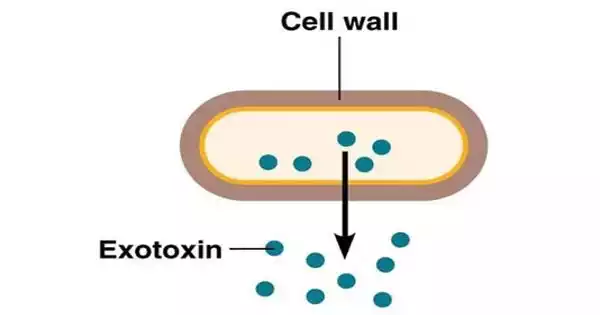 Exotoxins