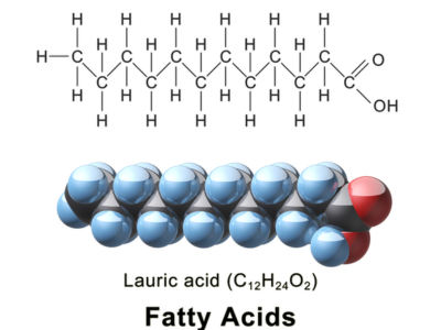 Fatty Acids