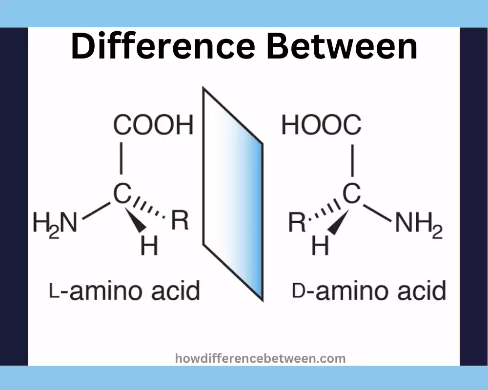 L and D Amino Acids 5 solid difference you must learn