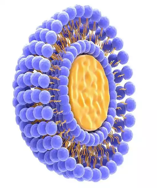 Liposomes