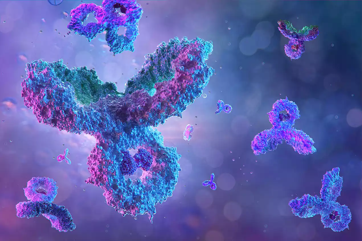 Monoclonal Antibodies