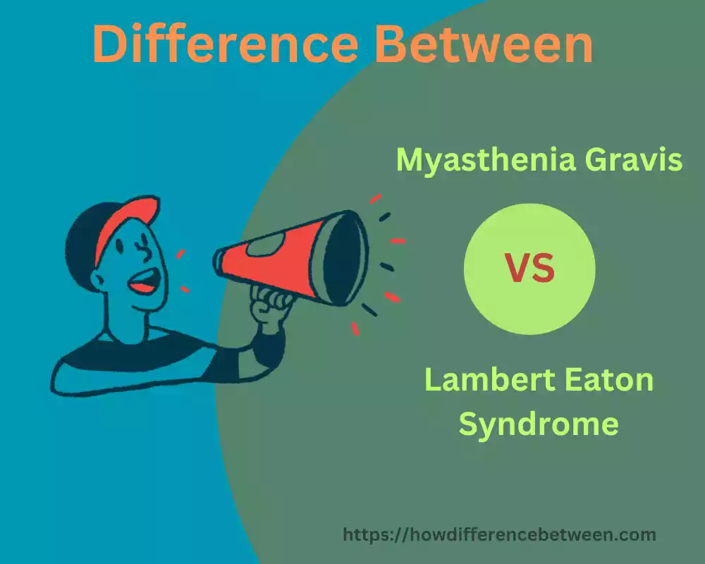 Myasthenia Gravis and Lambert Eaton Syndrome 05 best difference