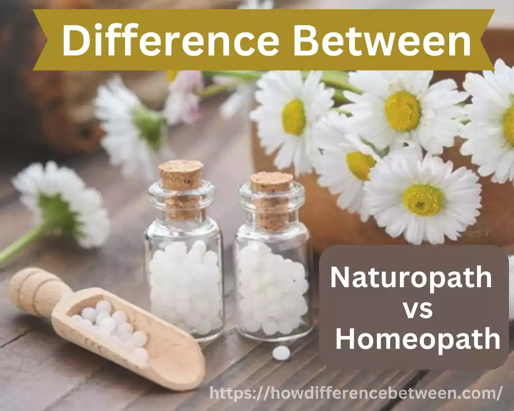 Naturopath and Homeopath 11 awesome difference you must learn about it