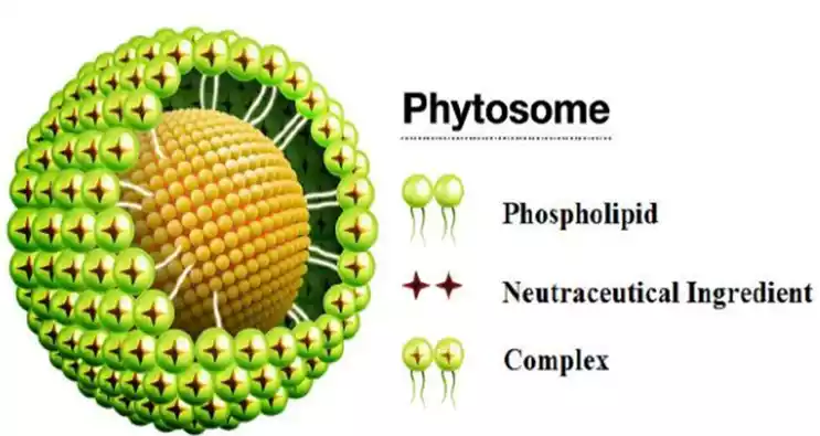 Phytosomes