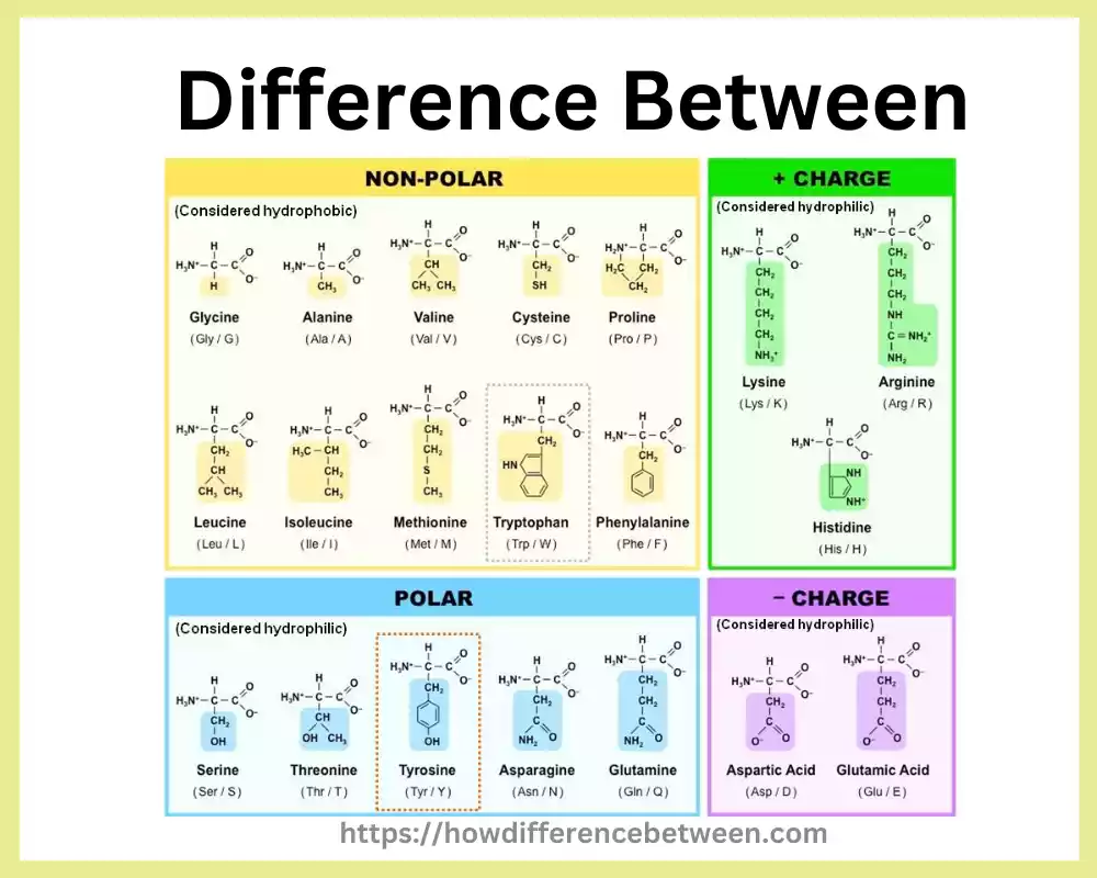 Polar and Nonpolar Amino Acids 09 solid and best difference you must know