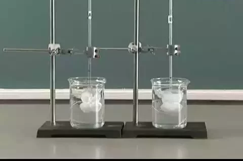 Similarities between Plasmolysis and Hemolysis