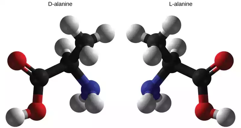 Similarities of L and D Amino Acids