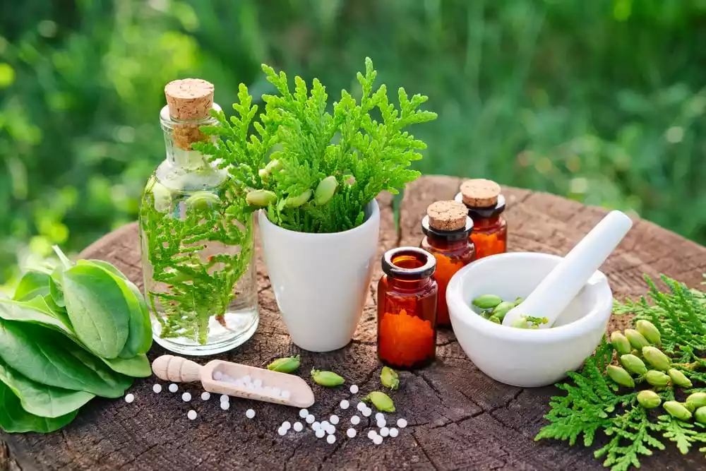 The Future of Naturopath and Homeopath